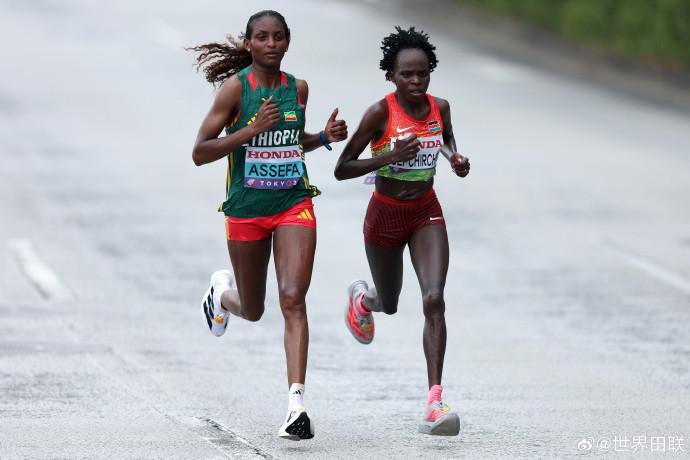 卡利亚里对,决亚特兰大,分析期号专,V体育官网,VSPORTS,V体育中国官网,VSports体育平台,V体育服务