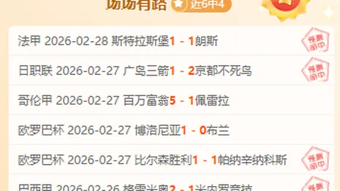 NBA专家精准预测：近12胜8战绩分析，持续进步